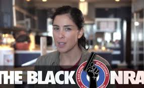 NRA Begins Minority Outreach with ‘Black NRA’ Offshoot (VIDEO)